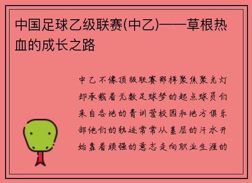 中国足球乙级联赛(中乙)——草根热血的成长之路