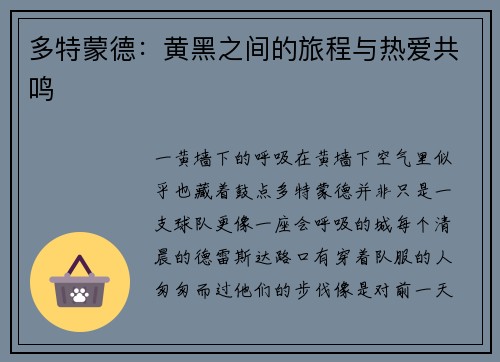 多特蒙德：黄黑之间的旅程与热爱共鸣